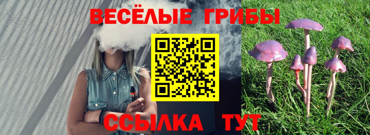 Псилоцибиновые грибы Magic Shrooms  Вход с VPN  Мичуринск 